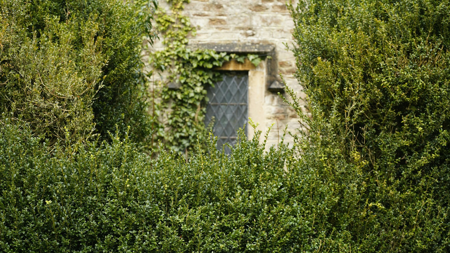 Rear bedroom facing the garden